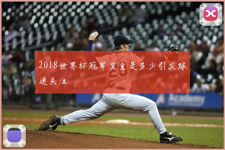 2018世界杯冠军奖金是多少引发球迷关注