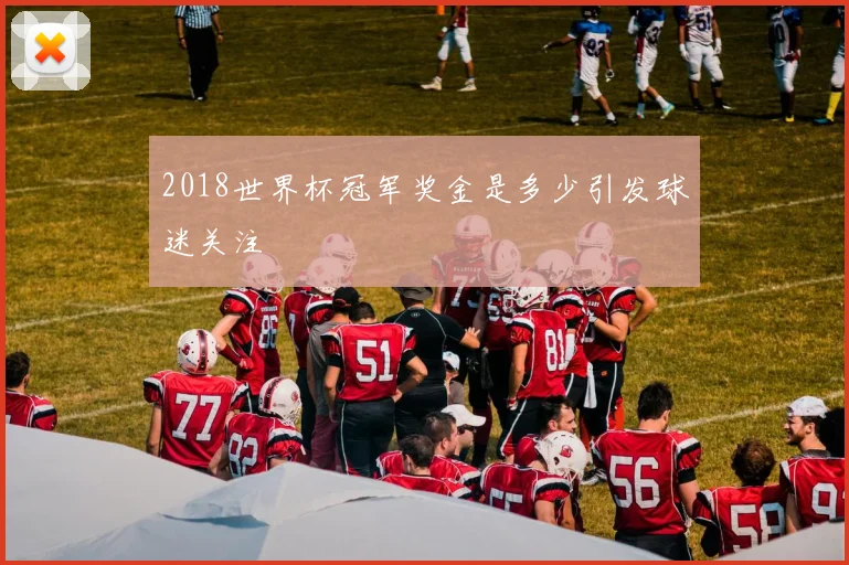 2018世界杯冠军奖金是多少引发球迷关注