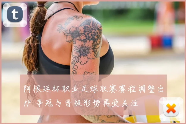 阿根廷杯职业足球联赛赛程调整出炉 争冠与晋级形势再受关注