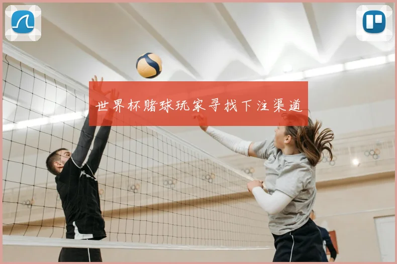 世界杯赌球玩家寻找下注渠道