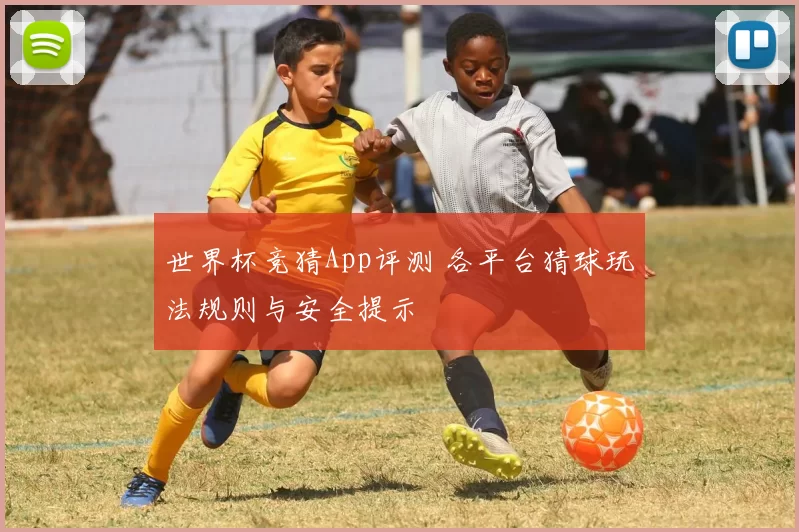 世界杯竞猜App评测 各平台猜球玩法规则与安全提示